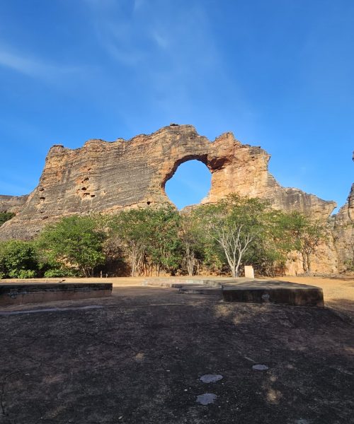 capivara (2)