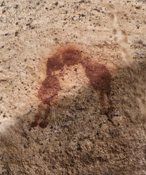 capivara (6)