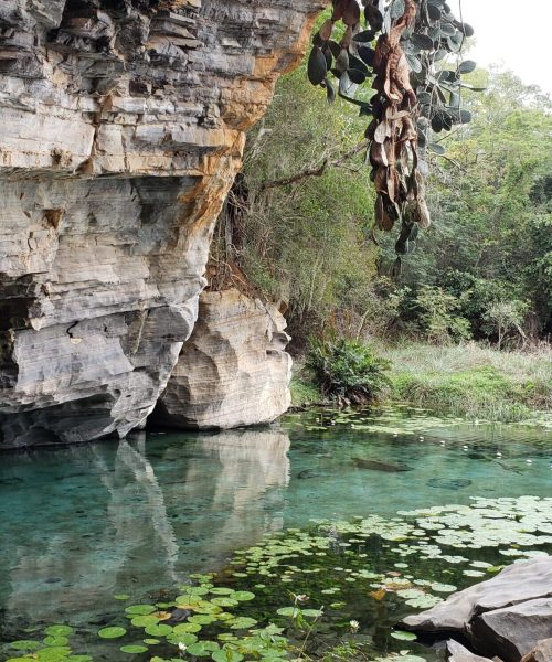 chapada diamantina (1)