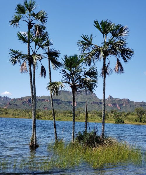serras gerais (1)